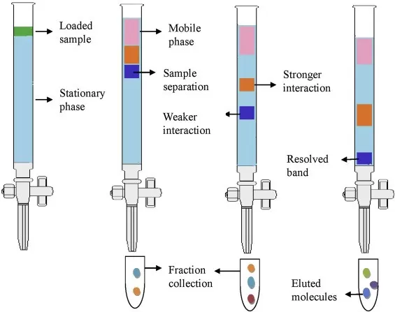 Systematic diagram of column chromatography (Nishi et al., 2021)